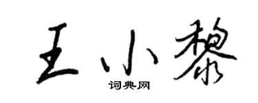 王正良王小黎行书个性签名怎么写