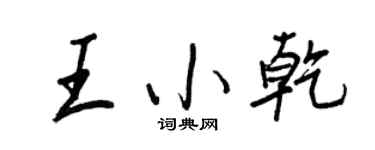 王正良王小乾行书个性签名怎么写