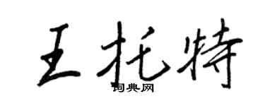 王正良王托特行书个性签名怎么写