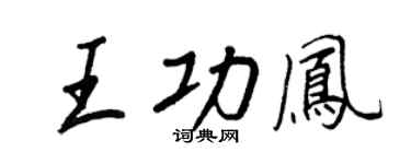 王正良王功凤行书个性签名怎么写