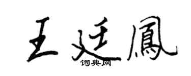 王正良王廷凤行书个性签名怎么写