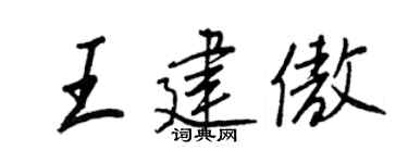 王正良王建傲行书个性签名怎么写