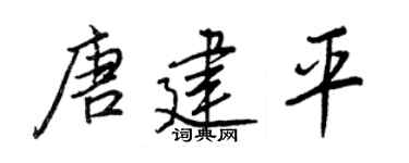 王正良唐建平行书个性签名怎么写