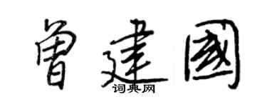 王正良曾建国行书个性签名怎么写