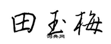 王正良田玉梅行书个性签名怎么写