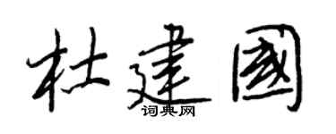 王正良杜建国行书个性签名怎么写