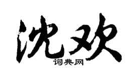 胡问遂沈欢行书个性签名怎么写