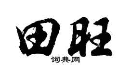 胡问遂田旺行书个性签名怎么写