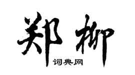 胡问遂郑柳行书个性签名怎么写