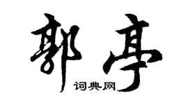 胡问遂郭亭行书个性签名怎么写