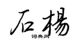 王正良石杨行书个性签名怎么写