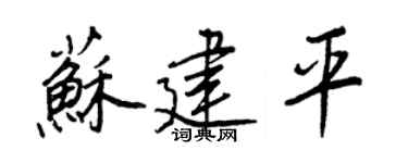 王正良苏建平行书个性签名怎么写