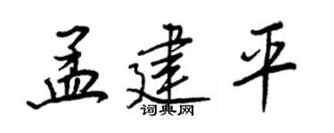 王正良孟建平行书个性签名怎么写