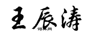 胡问遂王辰涛行书个性签名怎么写