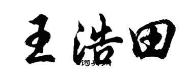 胡问遂王浩田行书个性签名怎么写