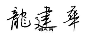 王正良龙建华行书个性签名怎么写