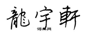 王正良龙宇轩行书个性签名怎么写