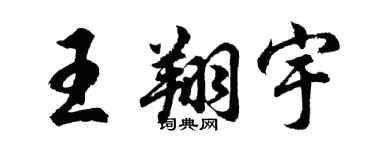 胡问遂王翔宇行书个性签名怎么写