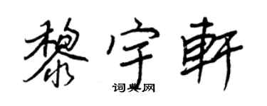 王正良黎宇轩行书个性签名怎么写