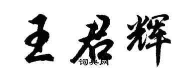 胡问遂王君辉行书个性签名怎么写