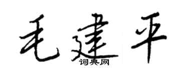 王正良毛建平行书个性签名怎么写