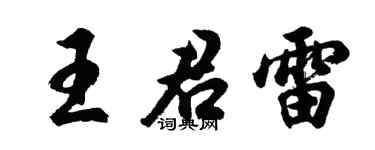 胡问遂王君雷行书个性签名怎么写