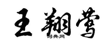 胡问遂王翔莺行书个性签名怎么写