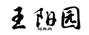 胡问遂王阳园行书个性签名怎么写