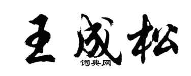 胡问遂王成松行书个性签名怎么写