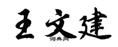 胡问遂王文建行书个性签名怎么写