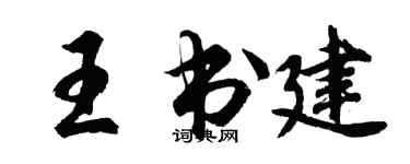 胡问遂王书建行书个性签名怎么写