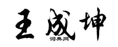 胡问遂王成坤行书个性签名怎么写