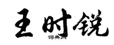 胡问遂王时锐行书个性签名怎么写