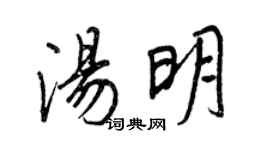 王正良汤明行书个性签名怎么写