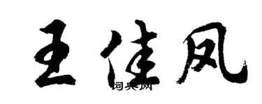 胡问遂王佳凤行书个性签名怎么写