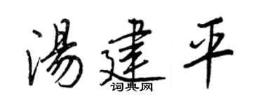 王正良汤建平行书个性签名怎么写