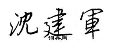 王正良沈建军行书个性签名怎么写