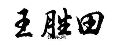 胡问遂王胜田行书个性签名怎么写