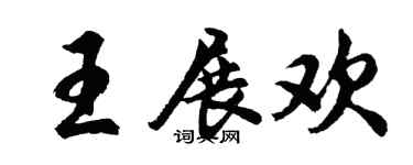 胡问遂王展欢行书个性签名怎么写