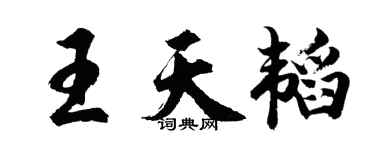 胡问遂王天韬行书个性签名怎么写