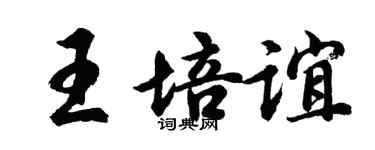 胡问遂王培谊行书个性签名怎么写