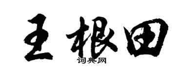 胡问遂王根田行书个性签名怎么写