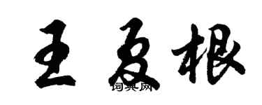 胡问遂王夏根行书个性签名怎么写