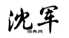 胡问遂沈军行书个性签名怎么写