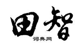 胡问遂田智行书个性签名怎么写