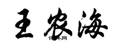 胡问遂王农海行书个性签名怎么写