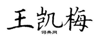 丁谦王凯梅楷书个性签名怎么写