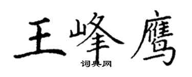 丁谦王峰鹰楷书个性签名怎么写