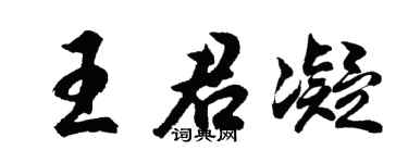 胡问遂王君凝行书个性签名怎么写