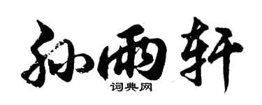 胡问遂孙雨轩行书个性签名怎么写